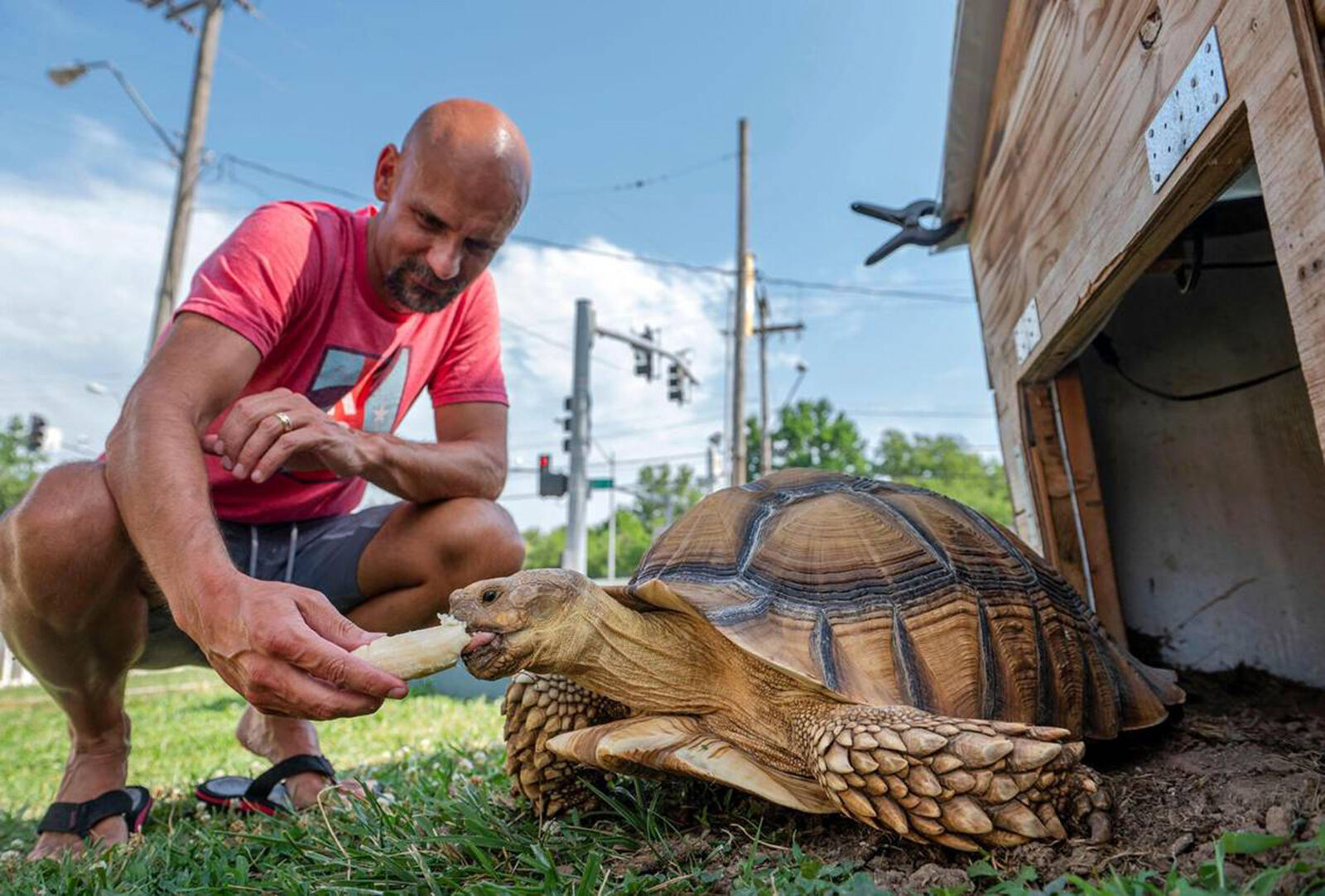 LIFE-NEIGHBORHOOD-TORTOISE-KC